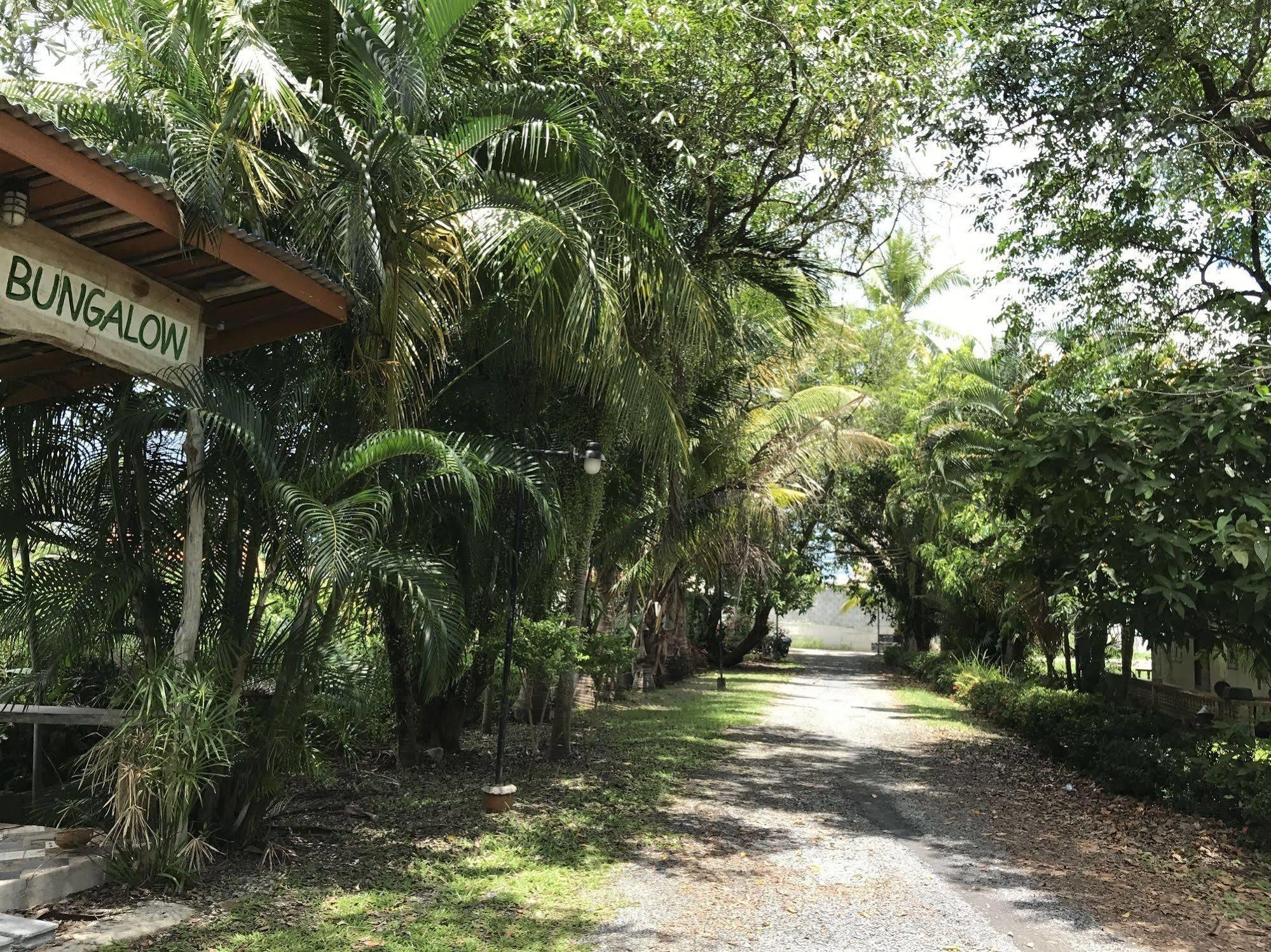 Coconut Bungalow Nai Yang Exterior photo